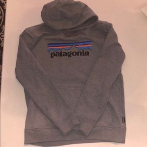 Men’s Line Logo Patagonia Hoodie